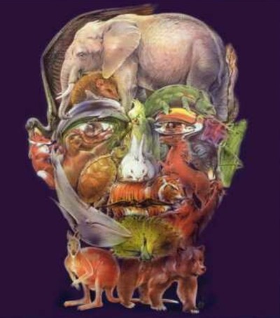 ILLUSION